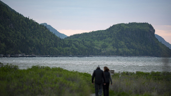 Carney's 'Canada Strong Pass' to come into effect on June 20